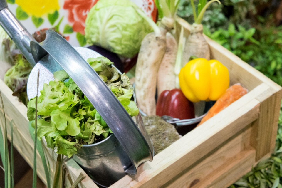 Culture de légumes Assurance familiale revenu complémentaire