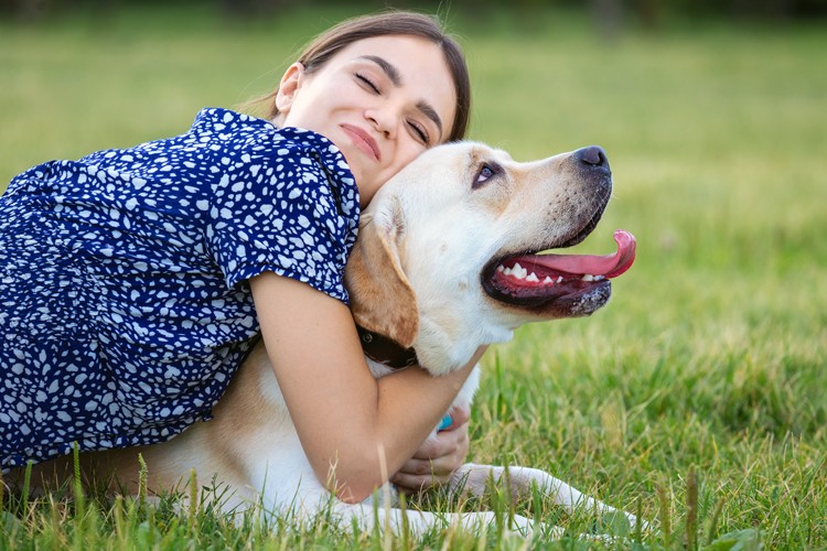 Assurer chien Assurer son chien ou pas quelques conseils